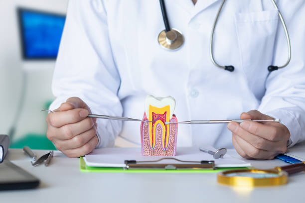 Best Weekend Emergency Dentist in Savanna, IL